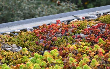the cost of Good Easter green roof installation