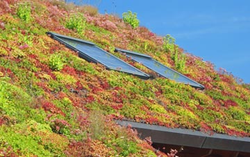 Good Easter living roof systems